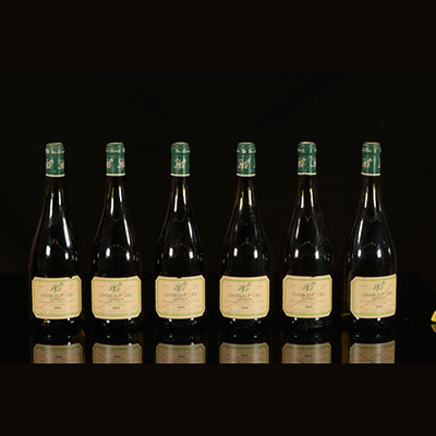 Vin - 6 bouteilles 75 cl Blanc Chablis Chablis Les Forêts 1er cru 1er cru 1995 Vocoret et fils