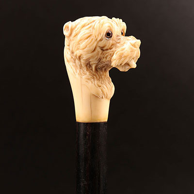 法国 - 狗头式圆头象牙手杖 19世纪 