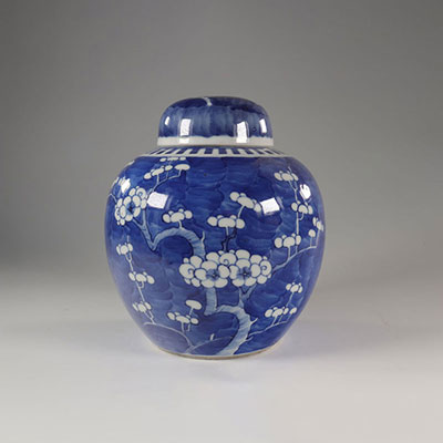Potiche en porcelaine blanc-bleu prunus ,Chine vers 1900.