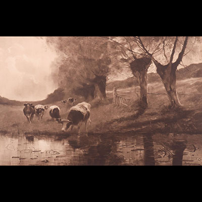 Paul HAGEMANS (1884-1959) Grande aquarelle -  les vaches