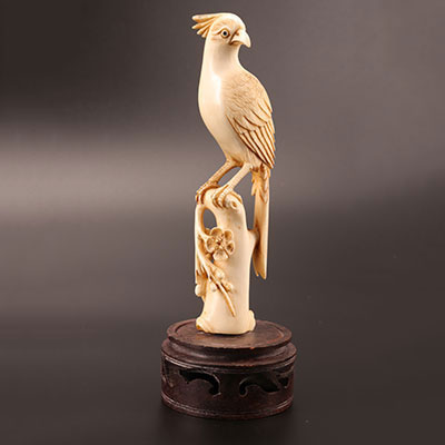 Chine - oiseau en ivoire sculpté 19ème
