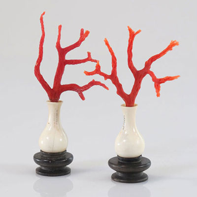 China pair of vases decorated with coral
