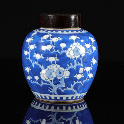 Chine potiche blanc bleu à décor de prunus