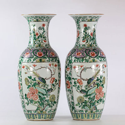 Chine paire de vase en porcelaine famille verte 19ème décor d'oiseaux