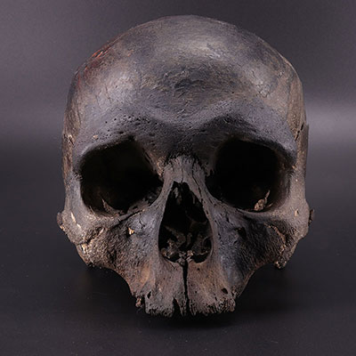 OCEANIA - ancestral skull - DAYAK - BORNEO