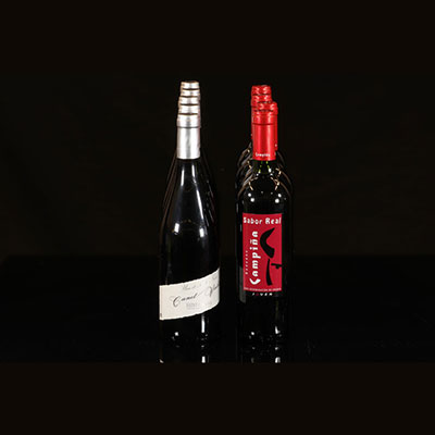 Vin - lot de 9 bouteilles 75 cl (vin rouge) - 5 x Saint Chinian (France) et 4 x Sabor Real Campina (Espagne)