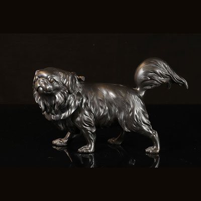 Japon - Bronze japonais chien époque Meiji