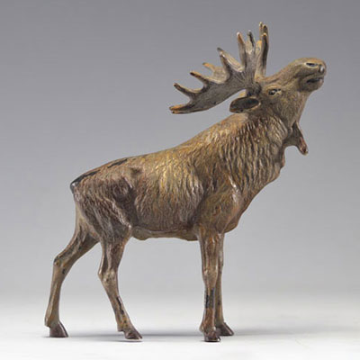 Bronze of Vienna large bronze moose - cold painted - model of Franz Xavier BERGMAN (1861 - 1936)
