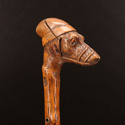 France - Canne en bois sculpté d'une tête de chien