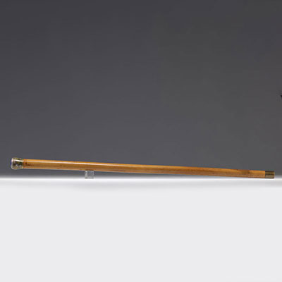 Enameled knob cane from China, early 19th century