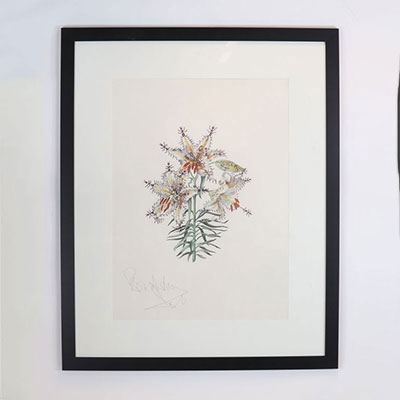 Salvador Dali - « Lilium Auratum Formicans » - Lithographie - Bon à tirer - 1972, Lithographie originale sur papier Arches épais. Signée à la main par Dali au crayon. Annotée EA au crayon
