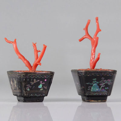 Jardinières chinoises décorées de coraux rouges